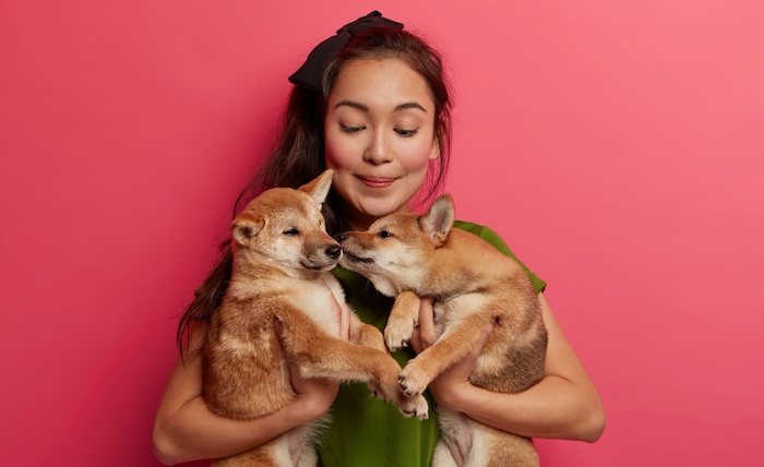 Animal Lover