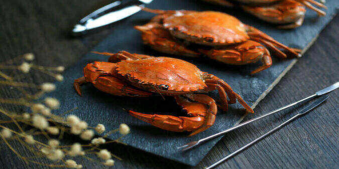 joes stone crab stories in Millionaire Match